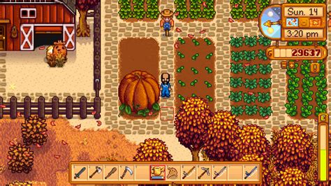 I didn't know about giant pumpkins, what do I do with giant .